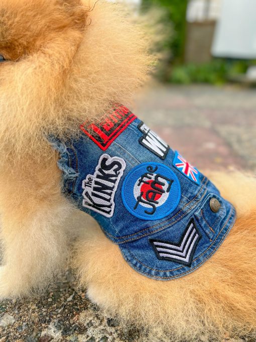 denim mod dog jacket