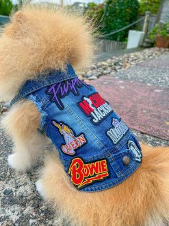 Denim Pop Dog Jacket