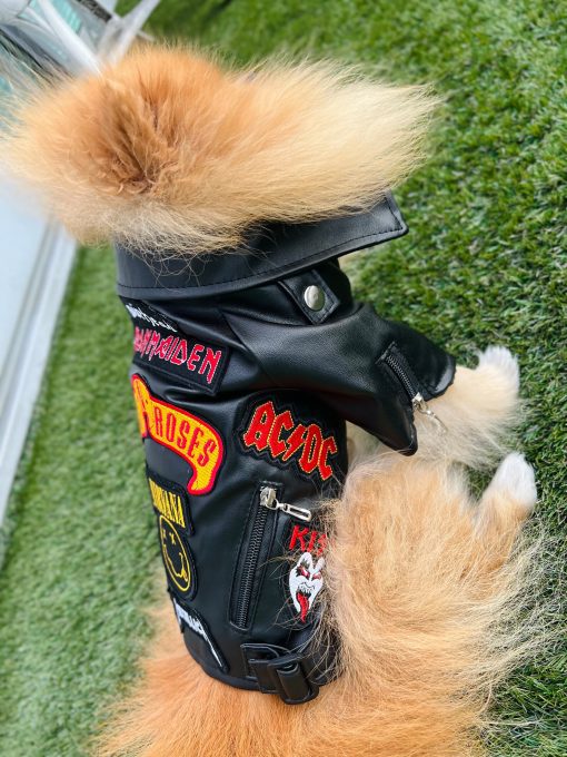 leather rock dog jacket