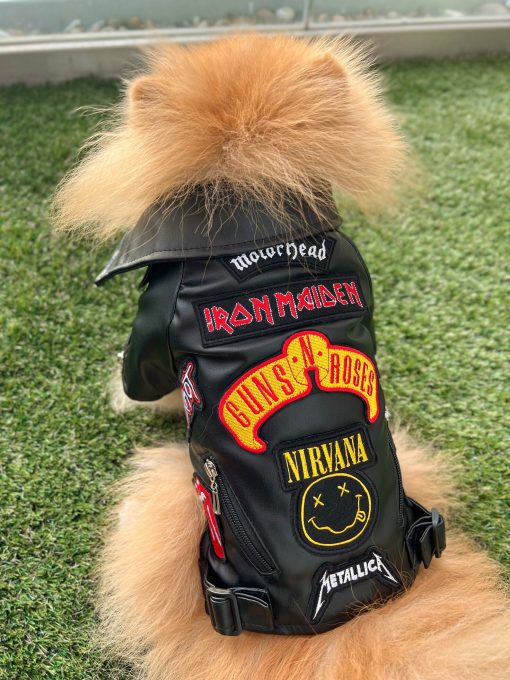 leather rock dog jacket