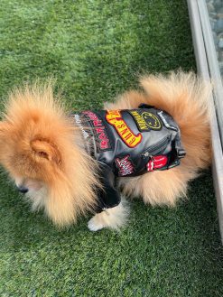 leather rock dog jacket