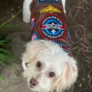 Faux leather dog flight jacket with Tomcat and US flag patches
