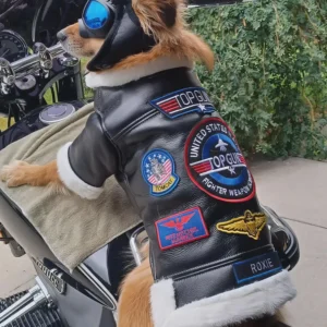 Black faux leather Top Gun aviator dog jacket with white trim