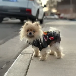 Alternative view of Luxury Faux Leather Rock Dog Jacket – Embroidered Band Patch Pet Clothing