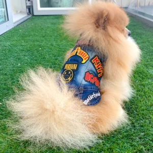 Blue denim pet jacket with Iron Maiden and Slipknot patches