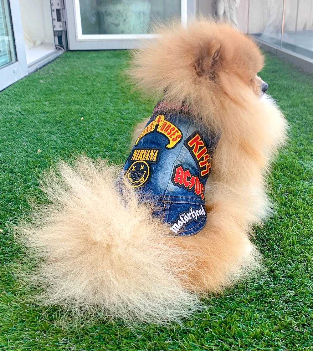 Blue denim pet jacket with Iron Maiden and Slipknot patches