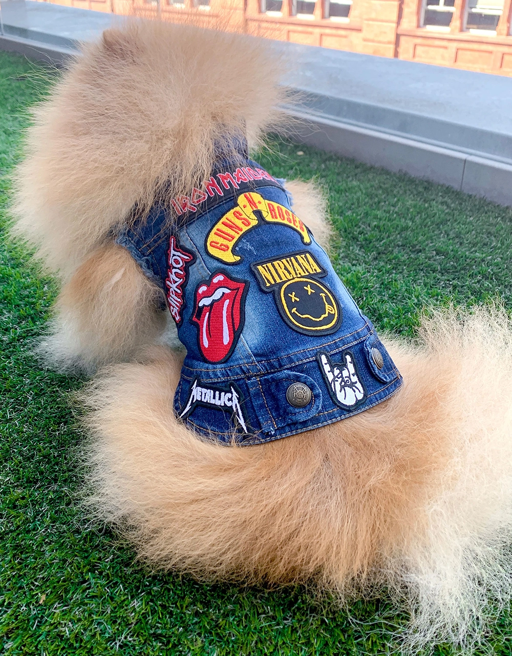 Rock pet jacket with Guns N’ Roses KISS and AC/DC patches
