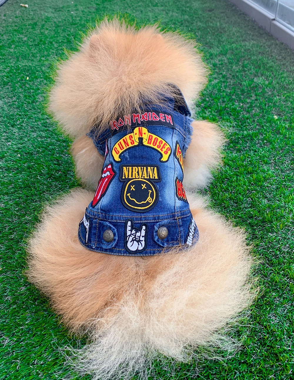 Blue denim dog jacket with Metallica Nirvana and Motörhead patches